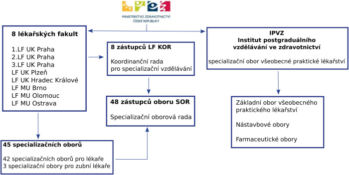 Organizační struktura specializačního vzdělávání