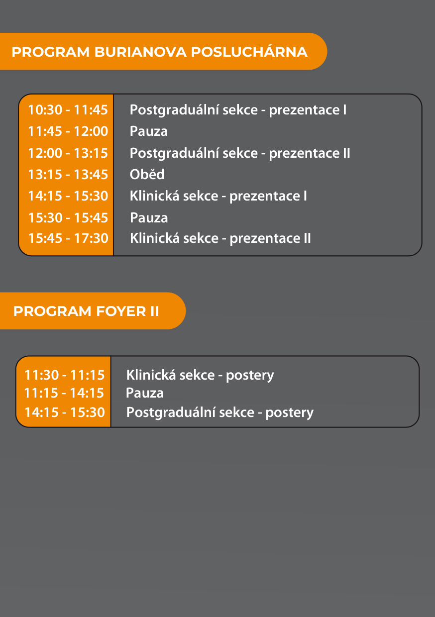Program konference 2