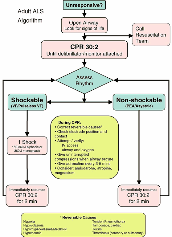 Adult ALS Algorithm