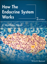 How the endocrine system works