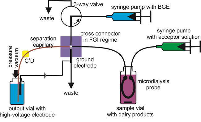 Obr. 1: Schéma pro on-line spojení mikrodialýzy s přístrojem kapilární elektroforézy realizované prostřednictvím Flow-Gating interface vyrobeného z PDMS křížové spojky.