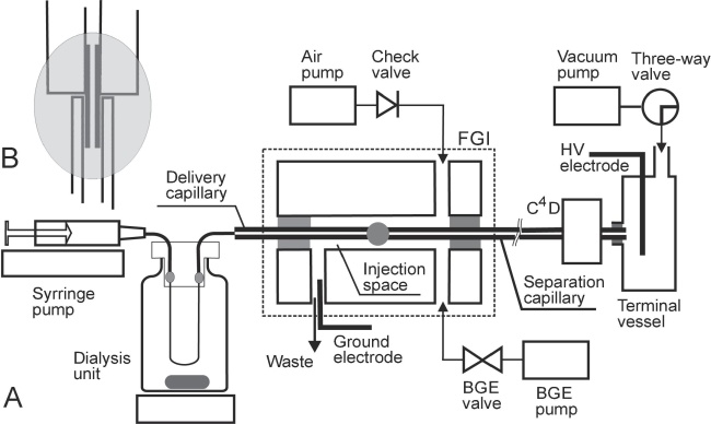 Schéma laboratorně sestrojeného spojení elektroforézy na krátké separační dráze  s mikrodialyzačním odběrem vzorku (A). Detail připojení mikrodialyzační sondy (B).