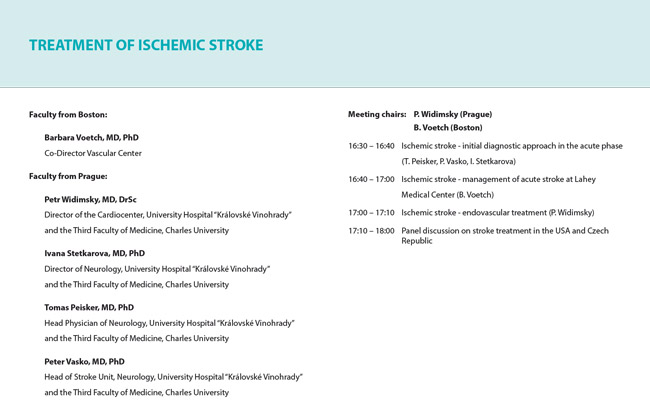 Treatment of ischemic stroke